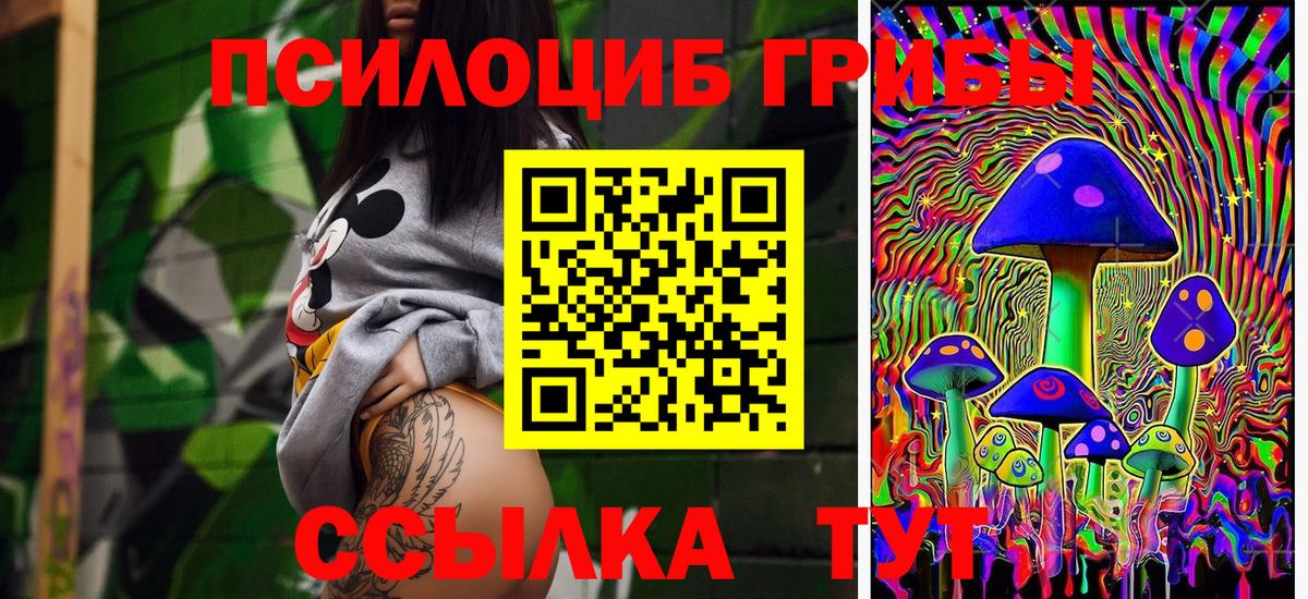 Галлюциногенные грибы мицелий  Вход с VPN  купить наркотик  Кириши 